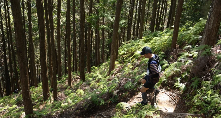 2026 OSJ 新城トレイル11K