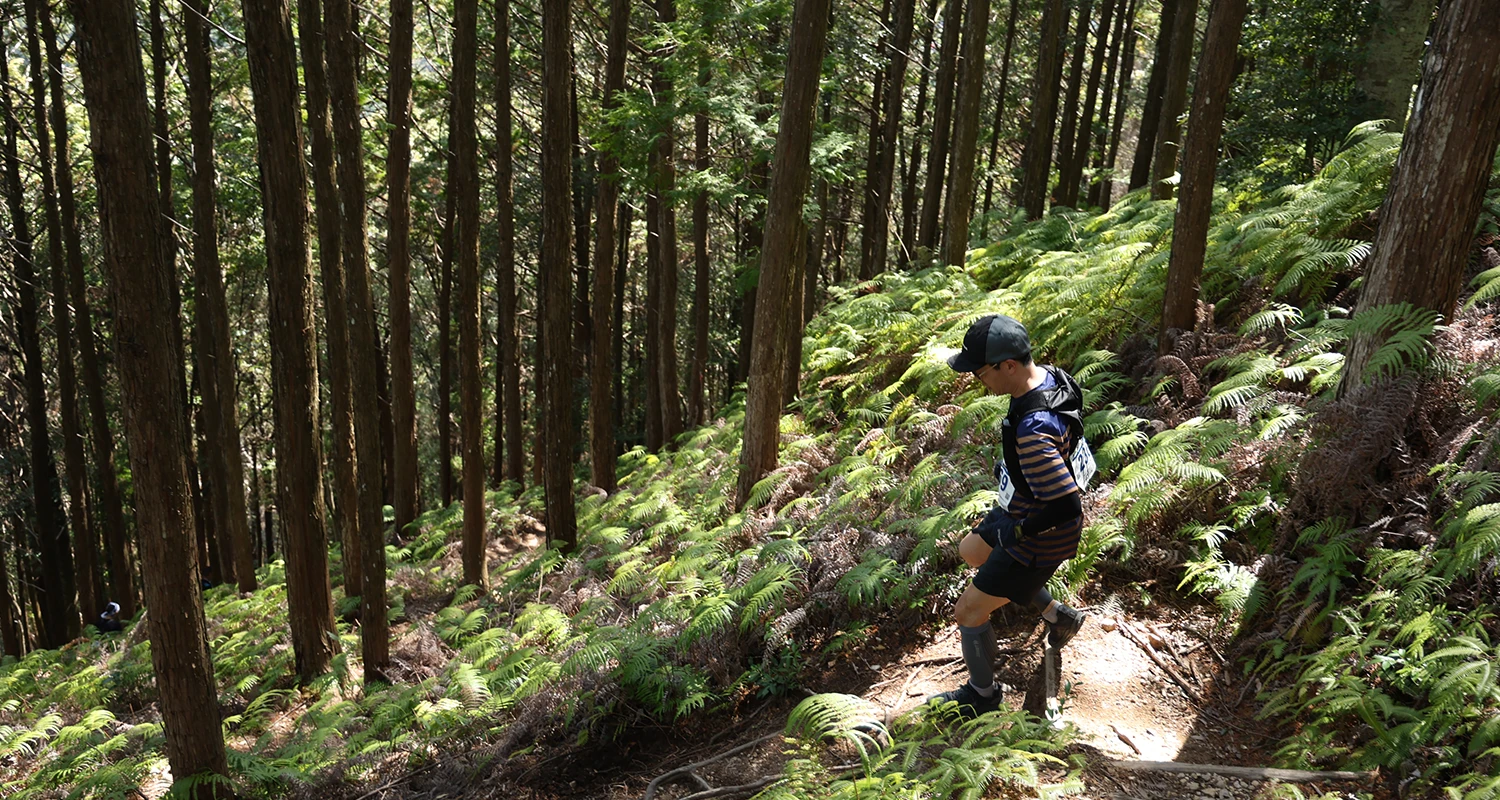 2026 OSJ 新城トレイル11K