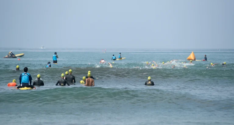 2026　ラフウォータースイム・イン・鎌倉材木座