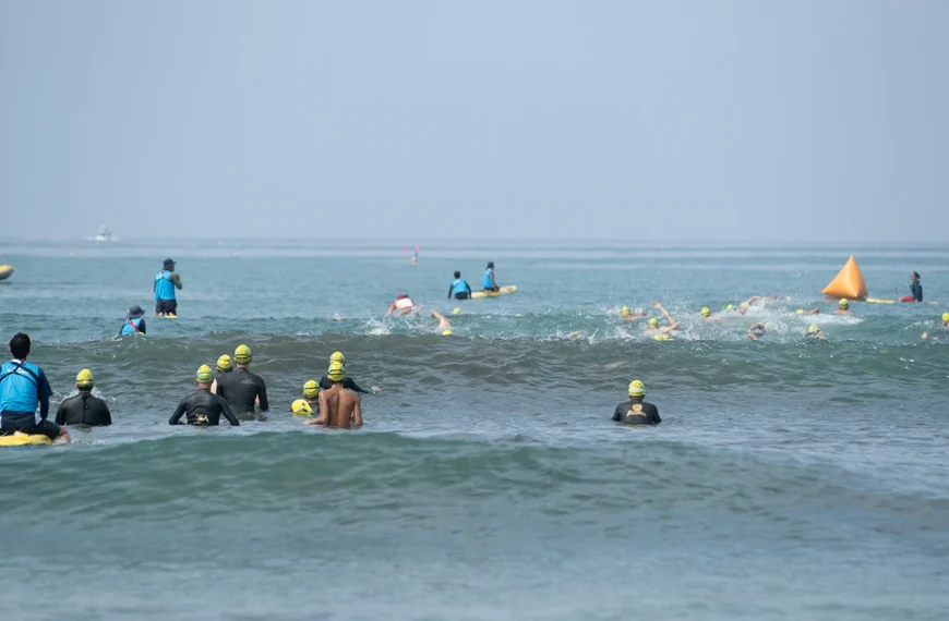 2026　ラフウォータースイム・イン・鎌倉材木座